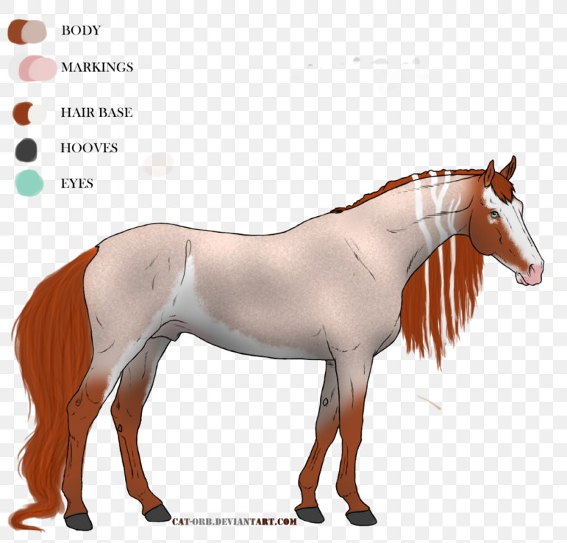 Mustang Mane Stallion Mare Pony, PNG, 1024x980px, Mustang, American Quarter Horse, Appaloosa, Arabian Horse, Bridle Download Free