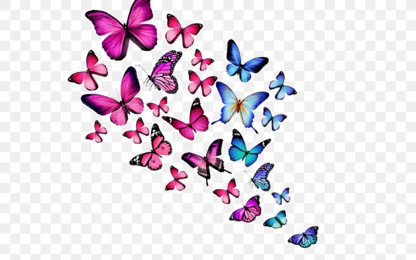 Desktop Wallpaper Glitter Butterfly Mobile Phones High-definition Television, PNG, 1024x640px, 4k Resolution, Butterfly, Android, Computer, Display Resolution Download Free