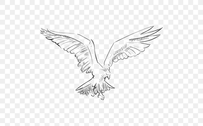 Eagle Bird Drawing, PNG, 512x512px, Eagle, Artwork, Beak, Bird, Bird Of Prey Download Free