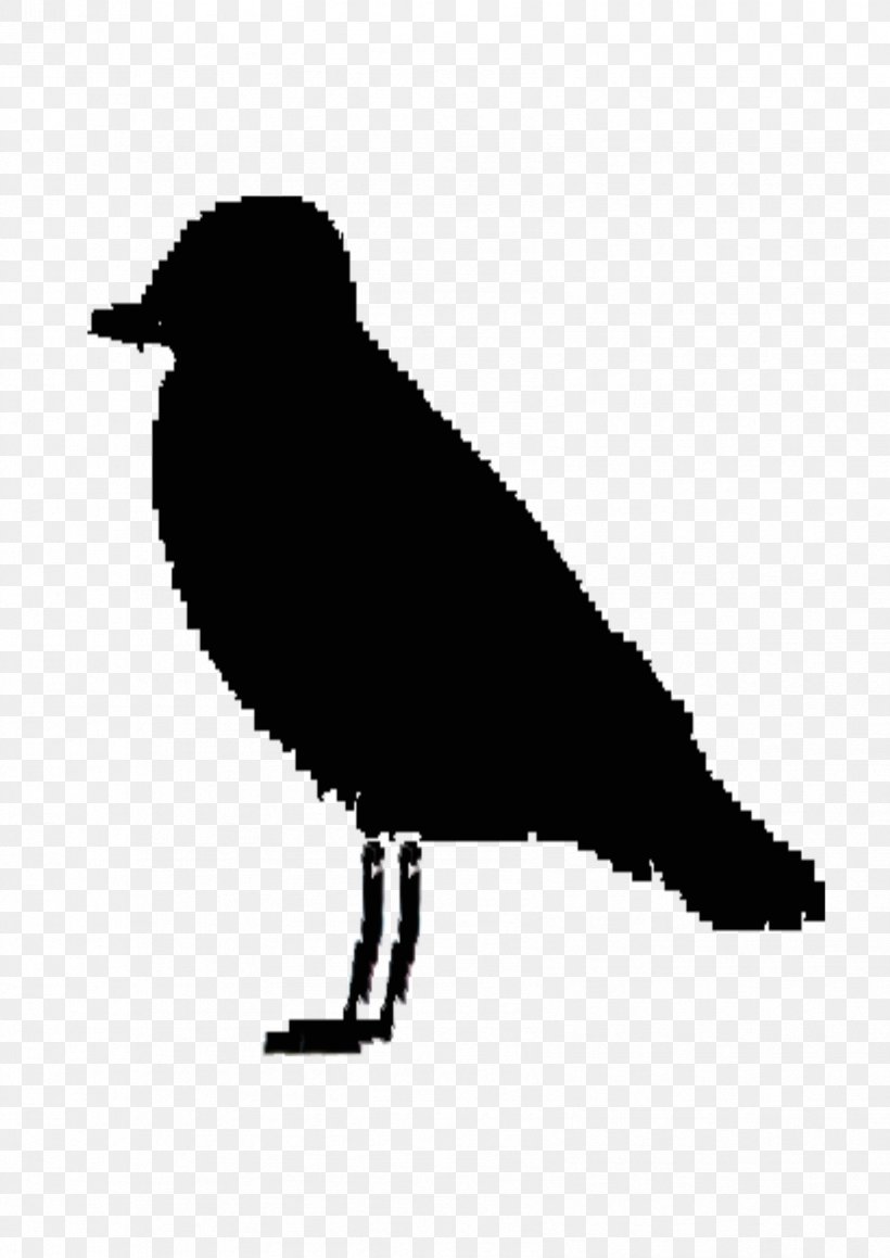 Ireland Silhouette Bird Clip Art, PNG, 1697x2400px, Ireland, Beak, Bird, Black And White, Crow Download Free