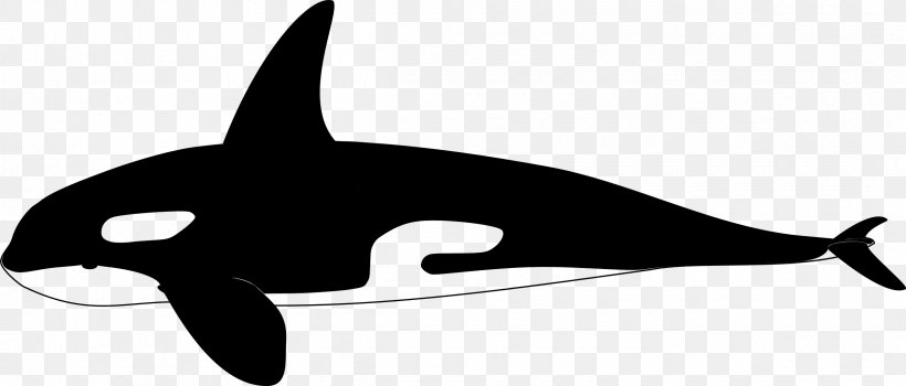 Porpoise Clip Art Whales Cetaceans Line, PNG, 2400x1027px, Porpoise, Black M, Cetaceans, Dolphin, Fin Download Free