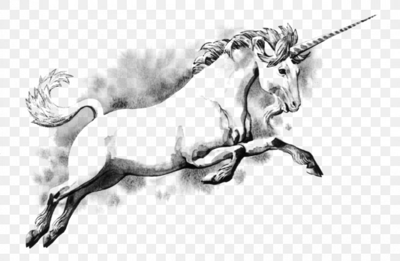 Unicorn Fairy Tale Coloring Book Legendary Creature Scotland, PNG, 1200x784px, Unicorn, Art, Black And White, Book, Cattle Like Mammal Download Free