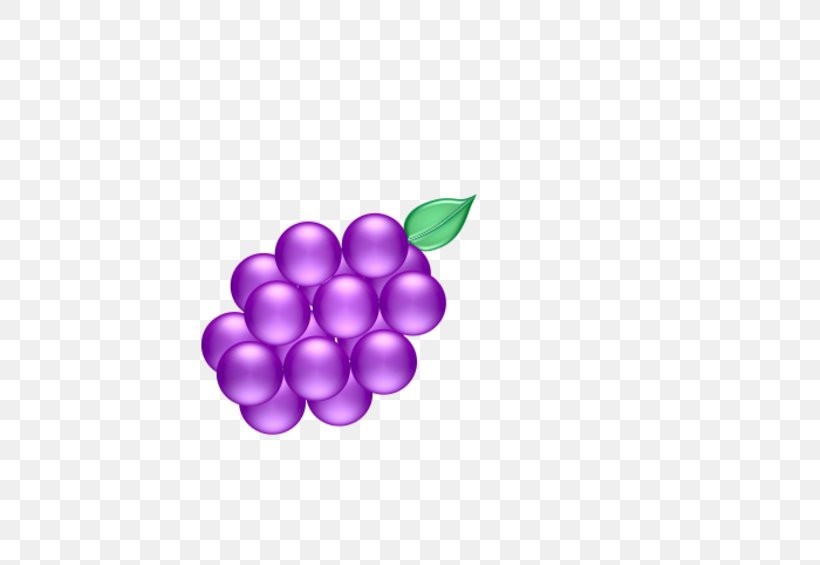 Violet Purple Lilac Grape Magenta, PNG, 600x565px, Violet, Fruit, Grape, Grapevine Family, Grapevines Download Free