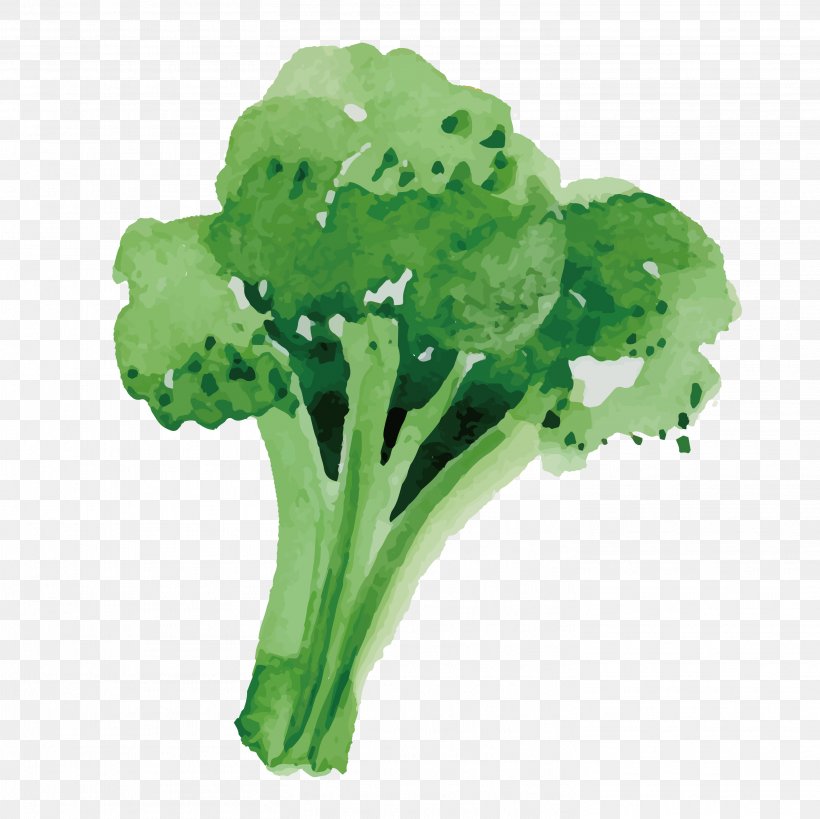 Broccoli Vegetable Food, PNG, 2917x2917px, Broccoli, Adoption, Cauliflower, Eating, Food Download Free