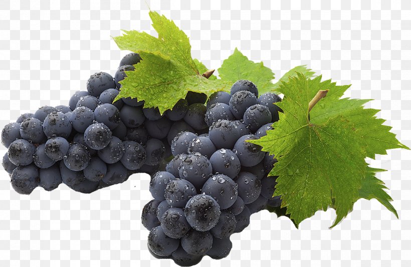 Common Grape Vine Juice Desktop Wallpaper Fruit, PNG, 1200x782px, Common Grape Vine, Berry, Bilberry, Blackberry, Blueberry Download Free
