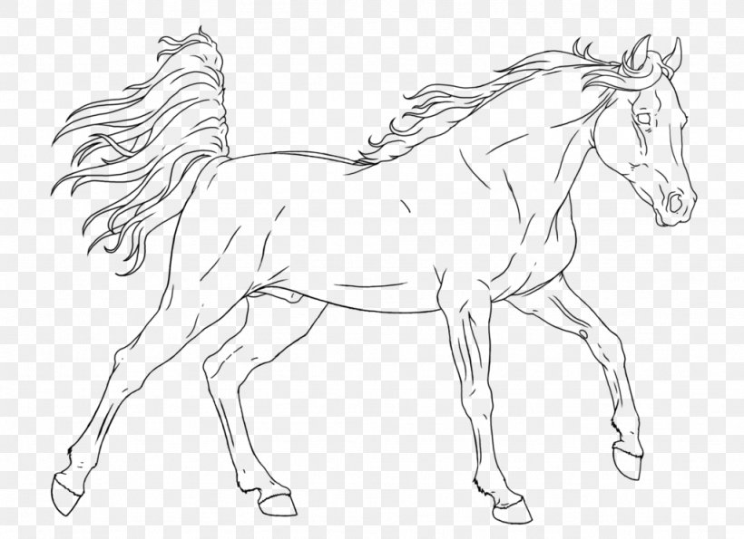 Horse Mane Coloring Book Colt Foal, PNG, 1024x744px, Horse, Animal Figure, Artwork, Black And White, Bridle Download Free