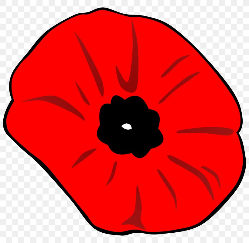 Remembrance Poppy Clip Art, PNG, 800x800px, Poppy, Armistice Day, Artwork, Common Poppy, Coquelicot Download Free