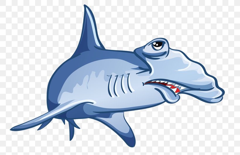 Shark Jaws Drawing, PNG, 800x529px, Shark Jaws, Animation,  Carcharhiniformes, Cartilaginous Fish, Cartoon Download Free