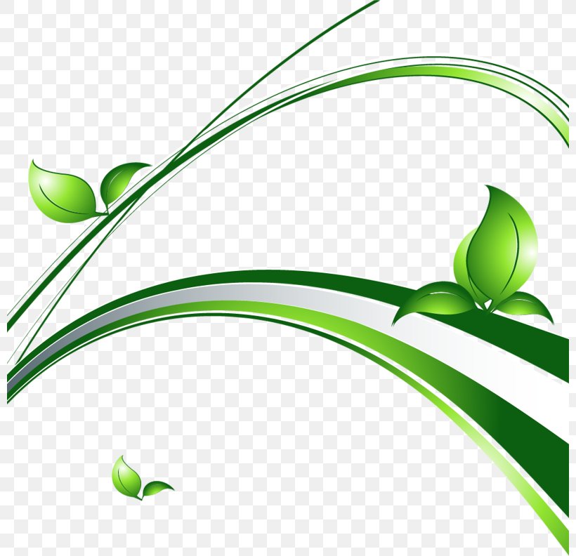 Clip Art Herbaceous Plant Leaf Vector Graphics, PNG, 800x792px, Herb, Albom, Ansichtkaart, Branch, Flora Download Free