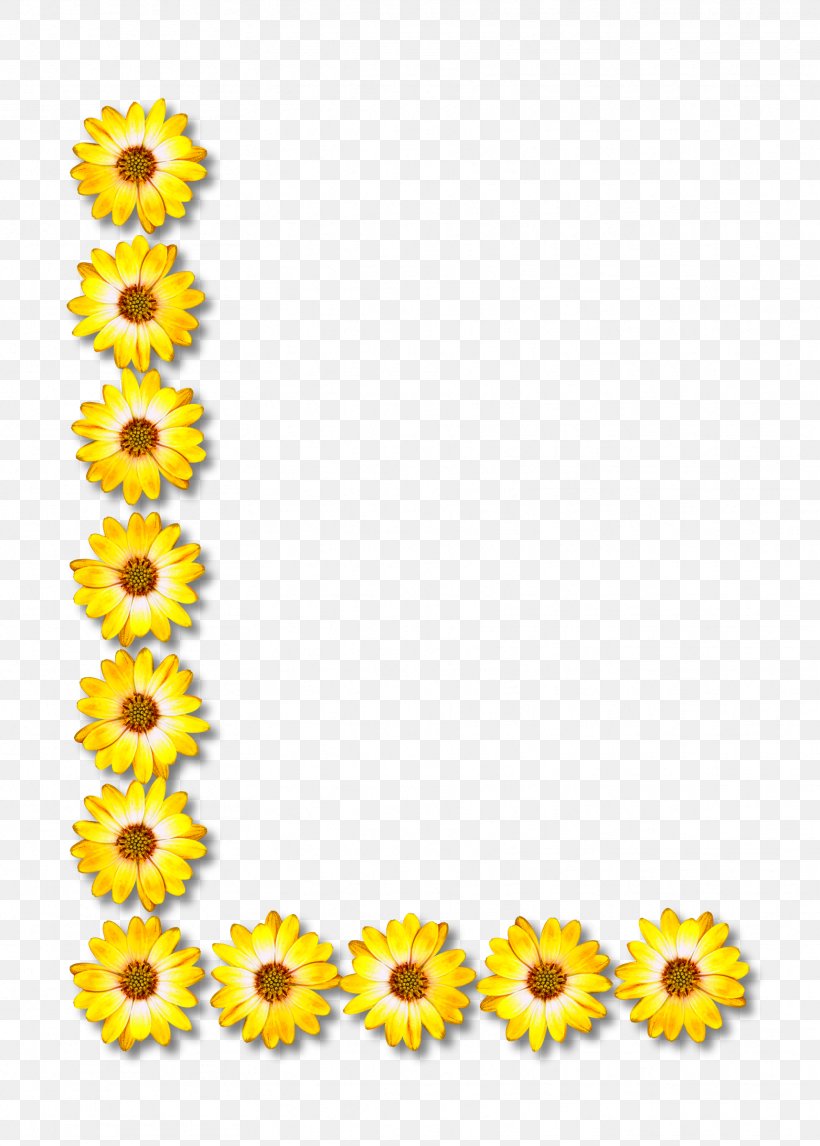 Common Sunflower Clip Art Vector Graphics, PNG, 1717x2400px, Common Sunflower, Cut Flowers, Daisy Family, Floral Design, Flower Download Free
