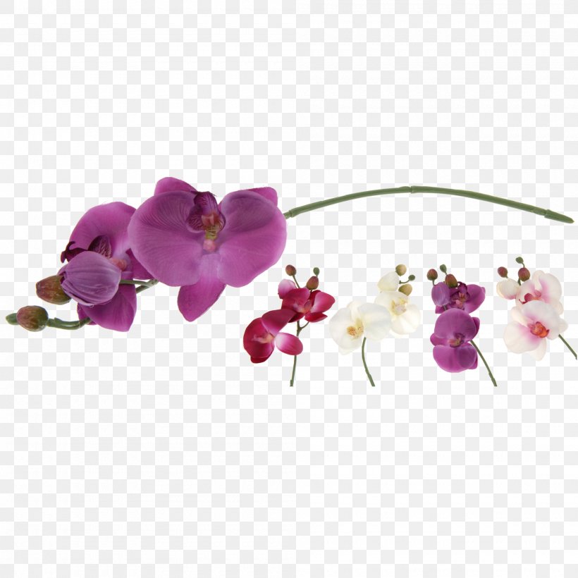 Moth Orchids Artificial Flower Furniture, PNG, 2000x2000px, Moth Orchids, Artificial Flower, Bed, Blossom, Blume Download Free