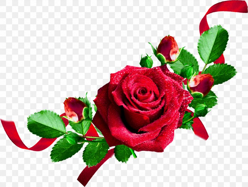 Rose Flower Clip Art, PNG, 1280x962px, Rose, Cut Flowers, Floral Design, Floristry, Flower Download Free