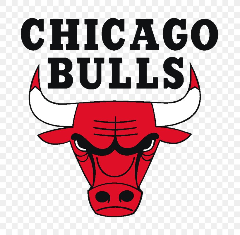 Chicago Bulls Windy City Bulls NBA Chicago Stags Logo, PNG, 800x800px, Chicago Bulls, Allnba Team, Area, Artwork, Basketball Download Free