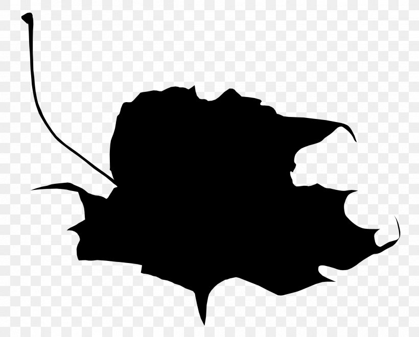 Clip Art Leaf Flower Silhouette Tree, PNG, 2392x1927px, Leaf, Bat, Black, Black M, Blackandwhite Download Free