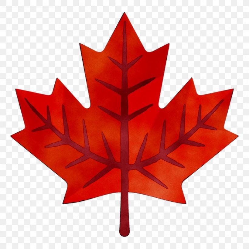 Flag Of Canada Digital Check Corporation Maple Leaf, PNG, 1089x1089px, Canada, Black Maple, Digital Check Corporation, Flag, Flag Of Canada Download Free