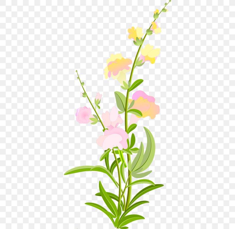 Floral Design Cut Flowers Petal Plant Stem, PNG, 374x800px, Floral Design, Artwork, Branch, Branching, Cut Flowers Download Free