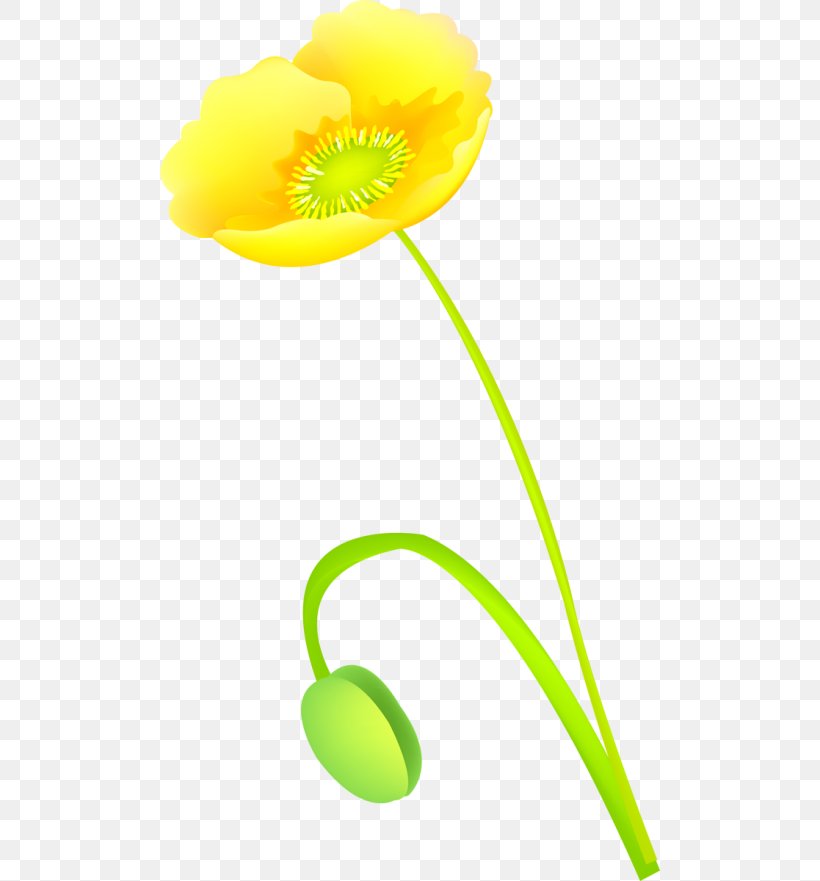 Flower Petal Google Images Internet, PNG, 500x881px, Flower, Advertising, Calendar, Flora, Flowering Plant Download Free