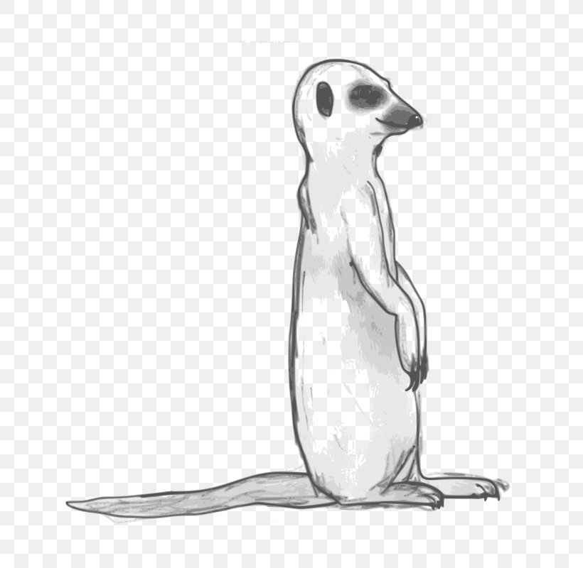 Meerkat Drawing Clip Art, PNG, 733x800px, Meerkat, Animal, Art, Beak, Bird Download Free