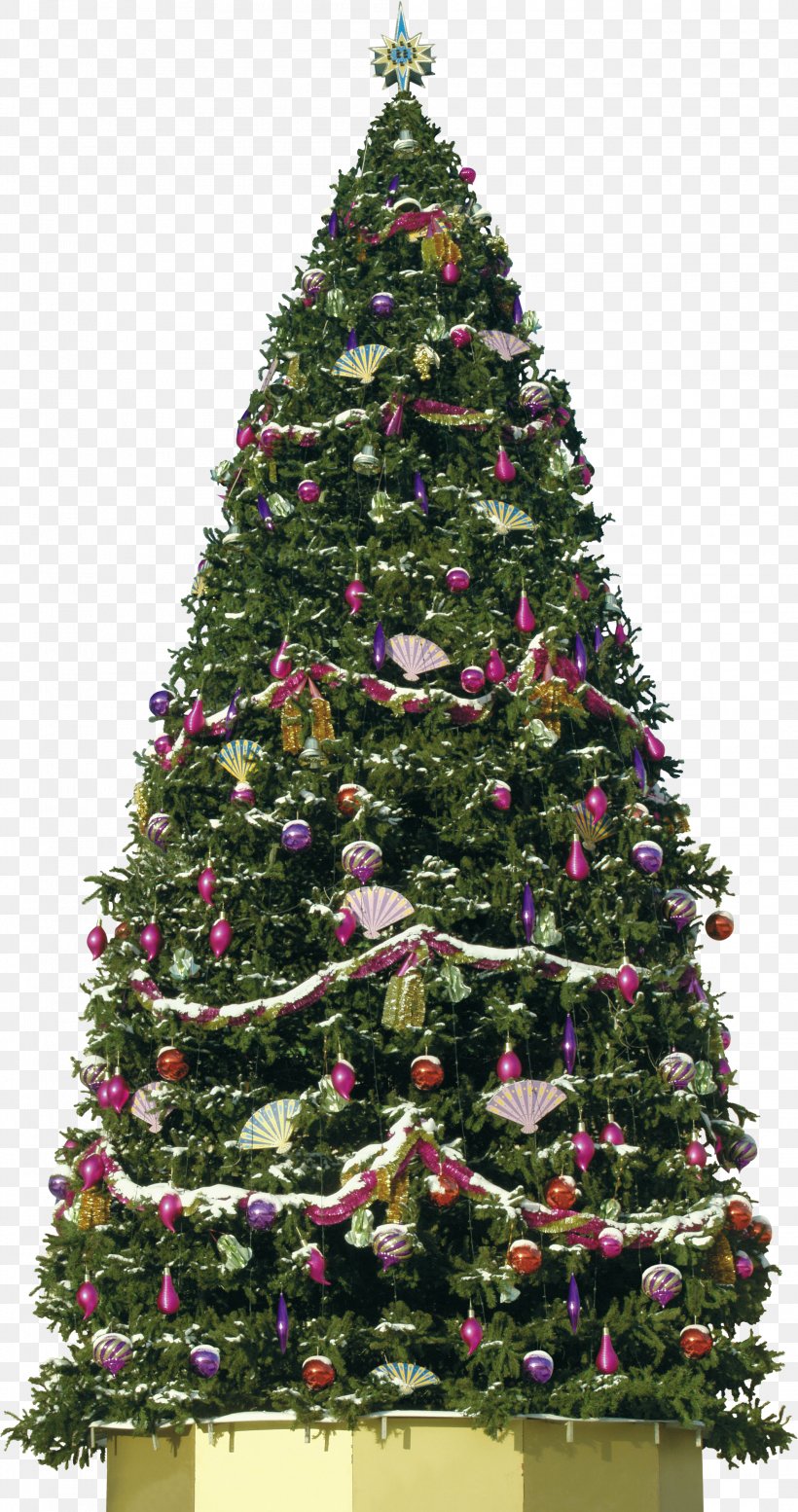 Christmas Tree New Year Tree Christmas Ornament, PNG, 2110x4000px, Christmas Tree, Christmas, Christmas Decoration, Christmas Ornament, Conifer Download Free