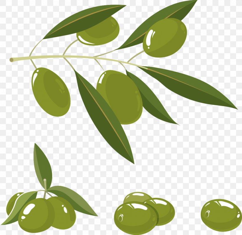Olive Oil Olive Branch, PNG, 931x904px, Olive, Branch, Food, Fruit, Green Download Free