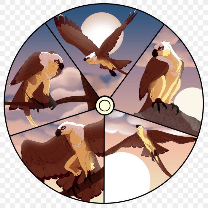 Owl Fauna Beak Animated Cartoon, PNG, 895x893px, Owl, Animated Cartoon, Beak, Bird, Bird Of Prey Download Free