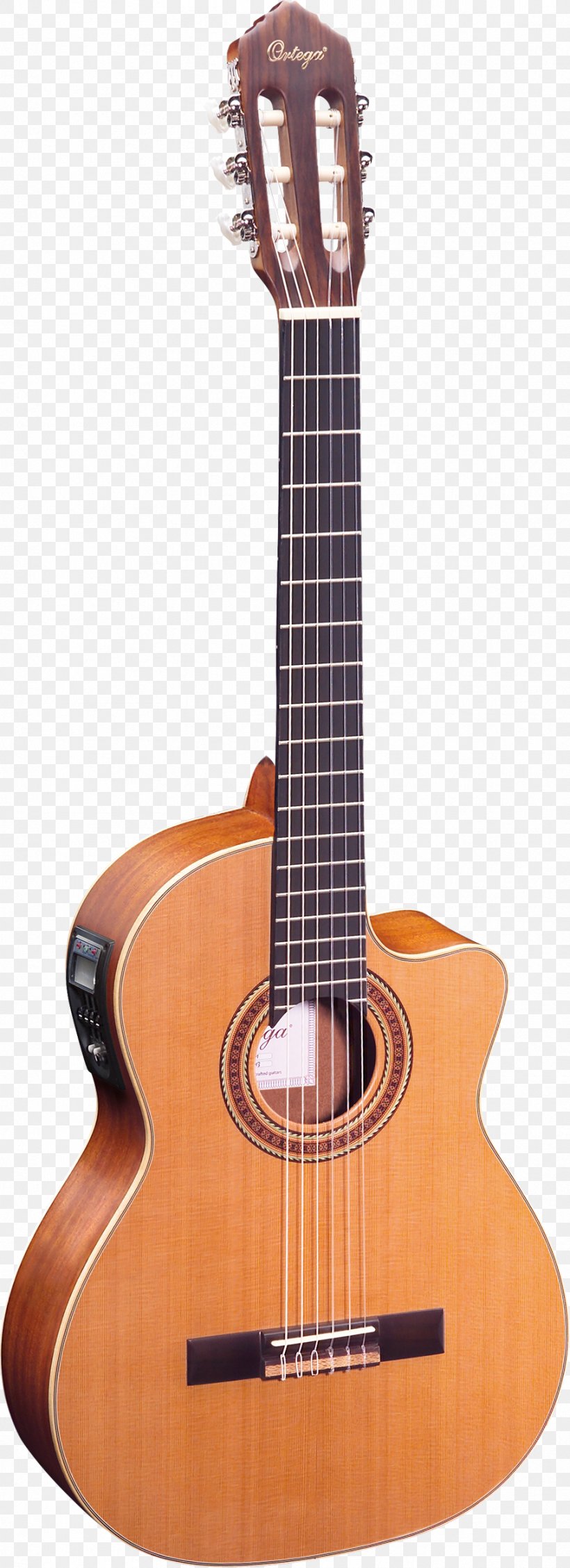 Fender Bullet Steel-string Acoustic Guitar Classical Guitar Acoustic-electric Guitar, PNG, 908x2500px, Watercolor, Cartoon, Flower, Frame, Heart Download Free