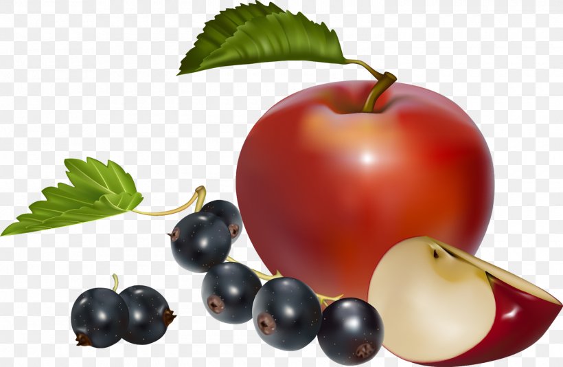 Fruit Apple Download Clip Art, PNG, 1500x977px, Fruit, Apple, Berry, Cherry, Cranberry Download Free