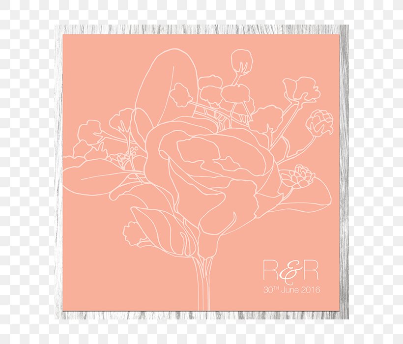 Paper Pink M Rectangle RTV Pink Font, PNG, 700x700px, Paper, Flower, Peach, Petal, Pink Download Free