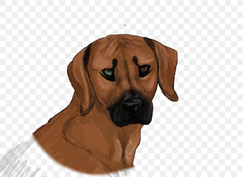 Redbone Coonhound Rhodesian Ridgeback Broholmer Puppy Dog Breed, PNG, 1024x750px, Redbone Coonhound, Black And Tan Coonhound, Breed, Broholmer, Carnivoran Download Free