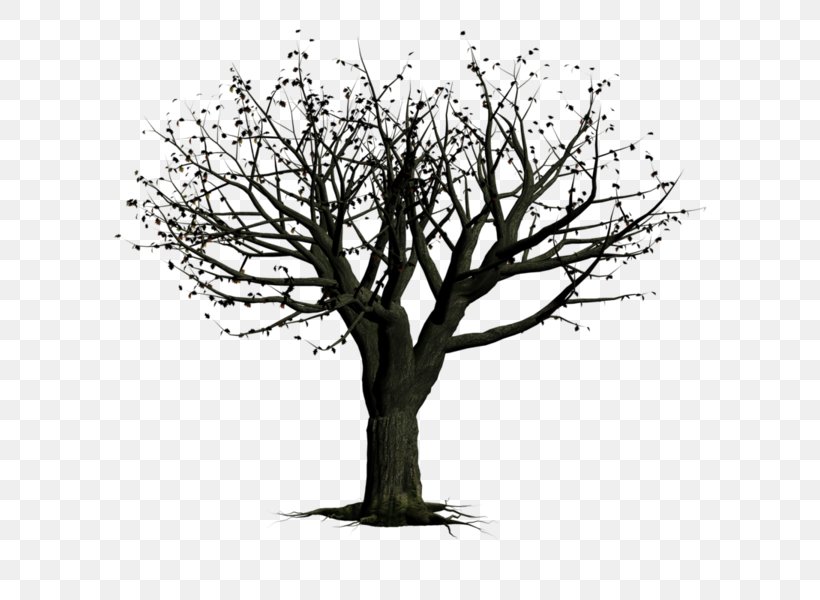 Tree Snag Woody Plant, PNG, 600x600px, Tree, Black And White, Branch, Drawing, Flower Download Free