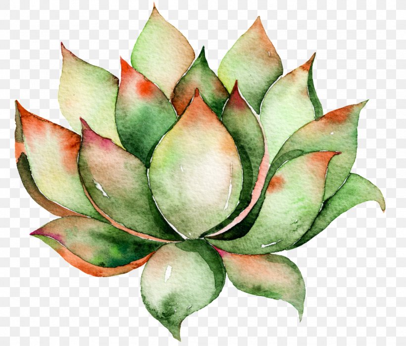 Cactus And Succulents Watercolor Painting Succulent Plant Image, PNG, 1024x873px, Cactus And Succulents, Agave, Art, Bud, Cactus Download Free