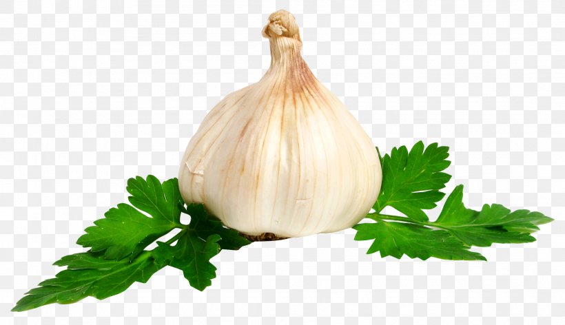 Garlic Onion, PNG, 2185x1259px, Chutney, Clove, Dish, Food, Garlic Download Free