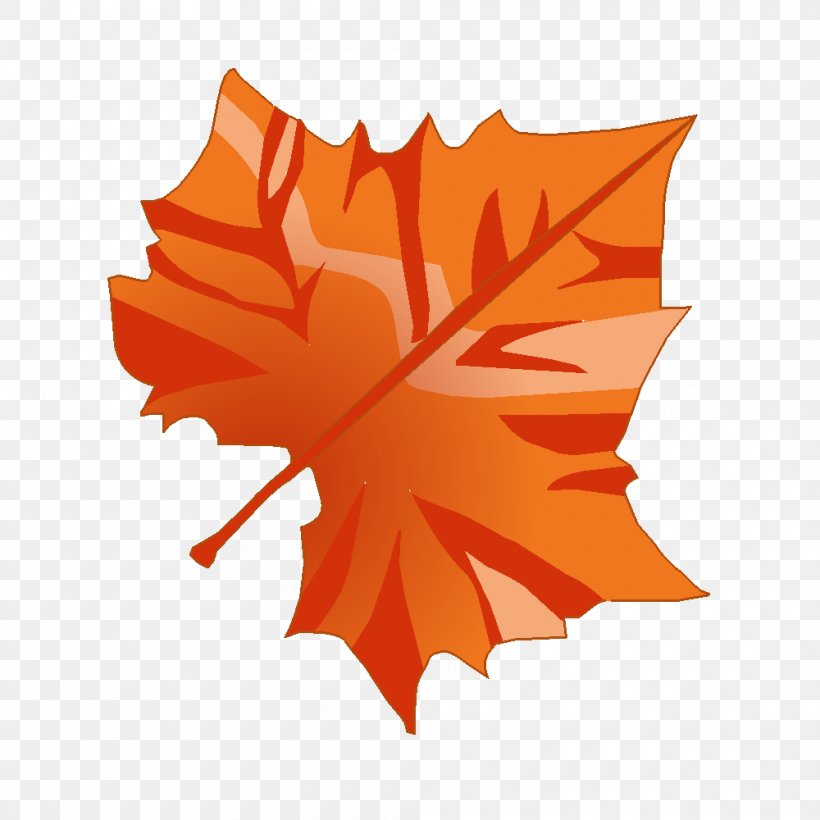 Maple Leaf Technical Drawing, PNG, 1000x1000px, Maple Leaf, Drawing, Educational Game, English, Flower Download Free