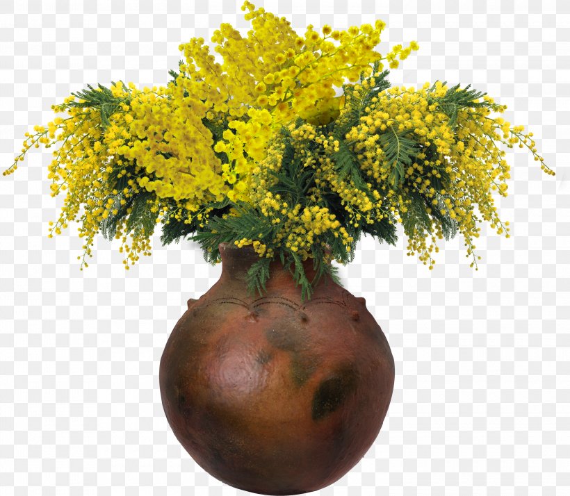 Mimosa Salad Flower, PNG, 3000x2613px, Mimosa Salad, Flower, Flowerpot, International Women S Day, Mimosa Download Free