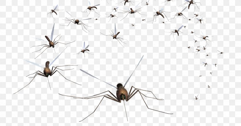 Mosquito Control Pest Control Household Insect Repellents, PNG, 1200x630px, Mosquito, Arthropod, Asian Bush Mosquito, Deet, Fly Download Free