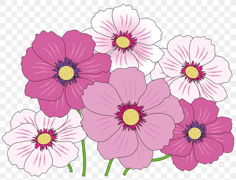 Pink Flowers Clip Art, PNG, 946x720px, Pink Flowers, Annual Plant, Chrysanths, Cosmos, Cut Flowers Download Free