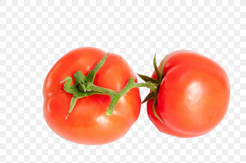 Plum Tomato Tomato Juice Cherry Tomato Bush Tomato Food, PNG, 1024x683px, Plum Tomato, Bush Tomato, Canning, Cherry Tomato, Diet Food Download Free