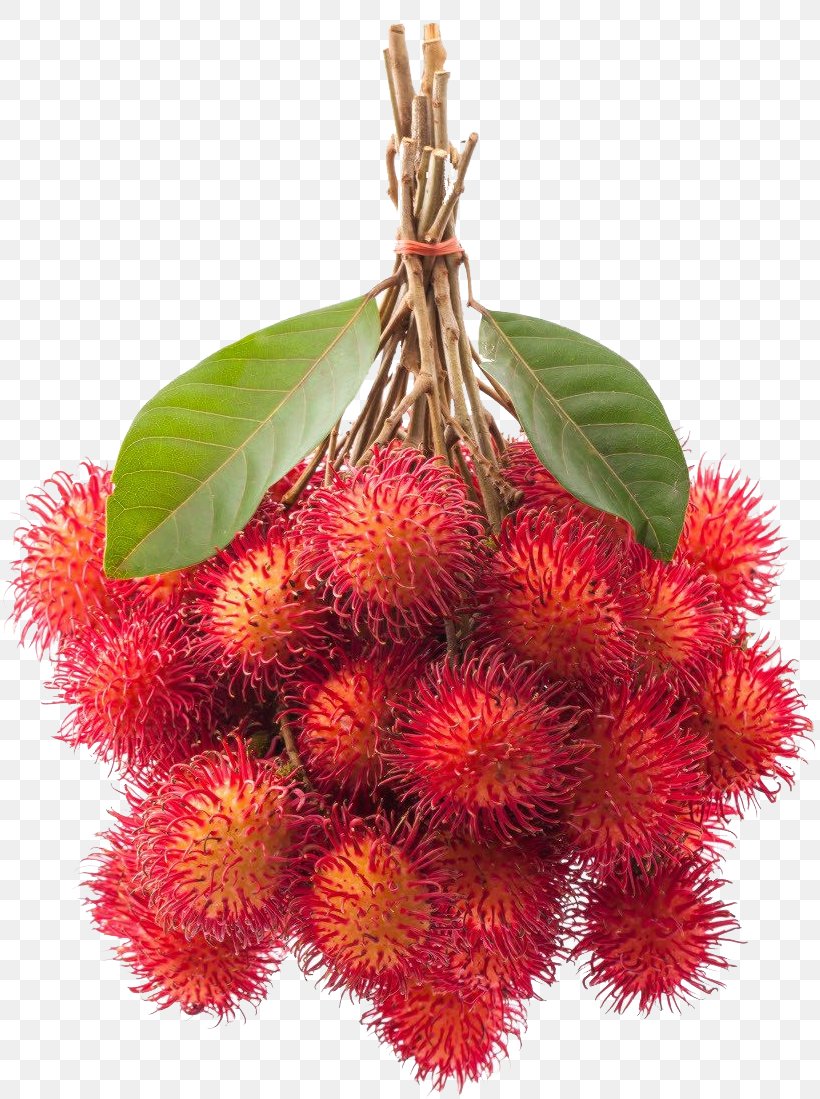 Rambutan Clip Art Fruit Image, PNG, 813x1099px, Rambutan, Food, Fruit, Fruit Exotique, Lychee Download Free