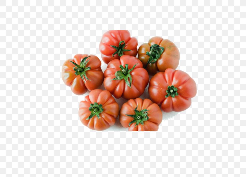 Sementi E Piante Elette Di Badii G. & C. S.n.c. San Marzano Tomato Bell Pepper Parmigiana Vegetable, PNG, 591x591px, San Marzano Tomato, Bell Pepper, Bush Tomato, Capsicum, Capsicum Annuum Download Free