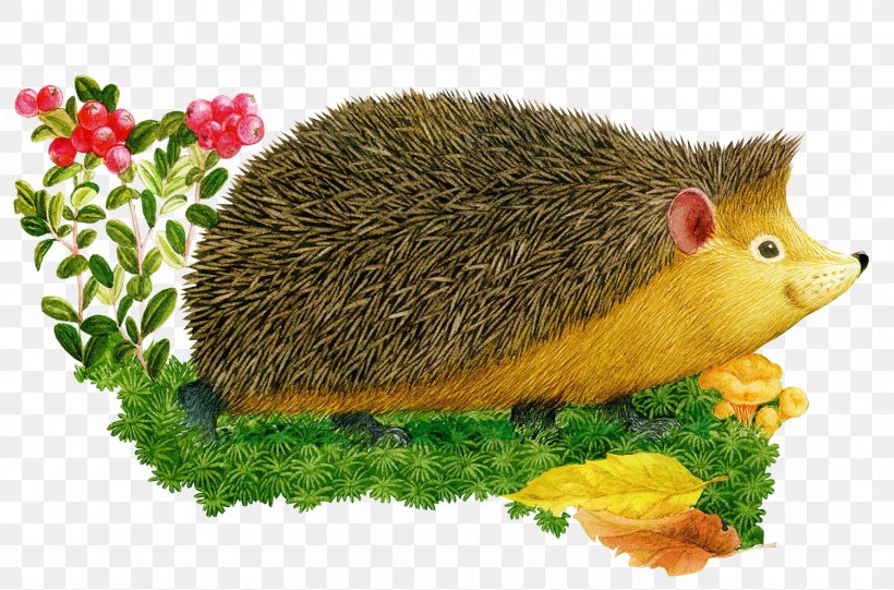 Hedgehog Cartoon Child Clip Art, PNG, 1500x990px, Hedgehog, Animation, Cartoon, Child, Domesticated Hedgehog Download Free
