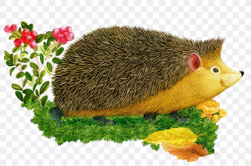 Hedgehog Cartoon Child Clip Art, PNG, 1500x990px, Hedgehog, Animation ...