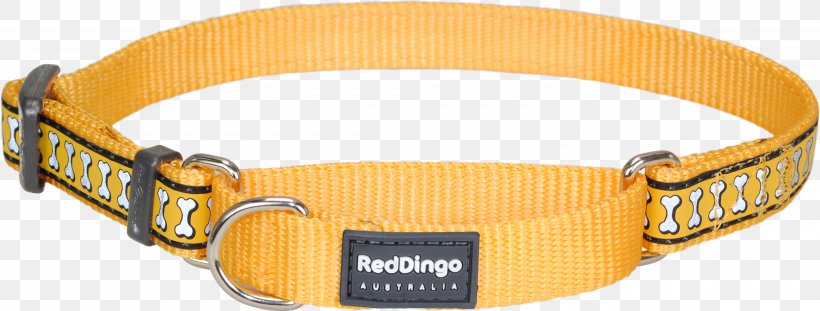 Belt Buckles Dog Collar Martingale, PNG, 3000x1141px, Belt Buckles, Belt Buckle, Buckle, Collar, Dingo Download Free