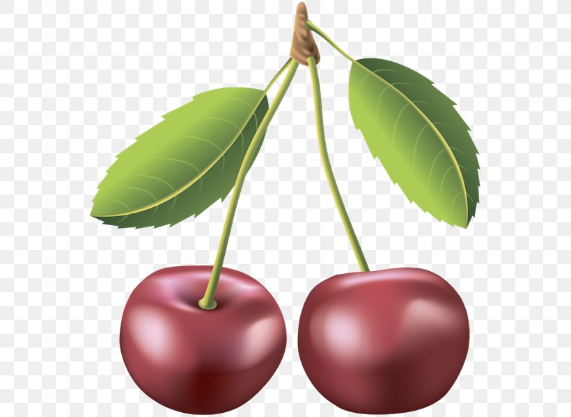 Cherry Auglis, PNG, 565x600px, Cherry, Auglis, Berry, Cerasus, Food Download Free