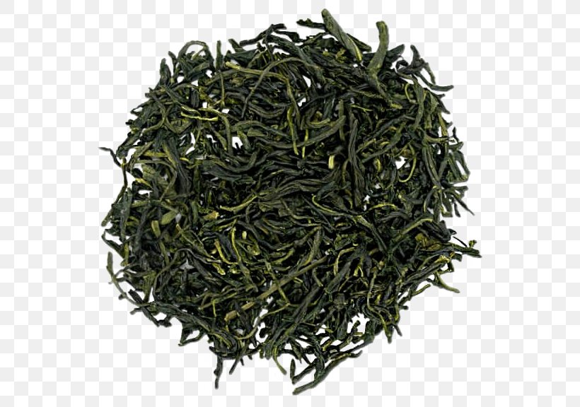 Green Tea Gyokuro Nilgiri Tea Oolong, PNG, 578x576px, Green Tea, Assam Tea, Bai Mudan, Baihao Yinzhen, Bancha Download Free
