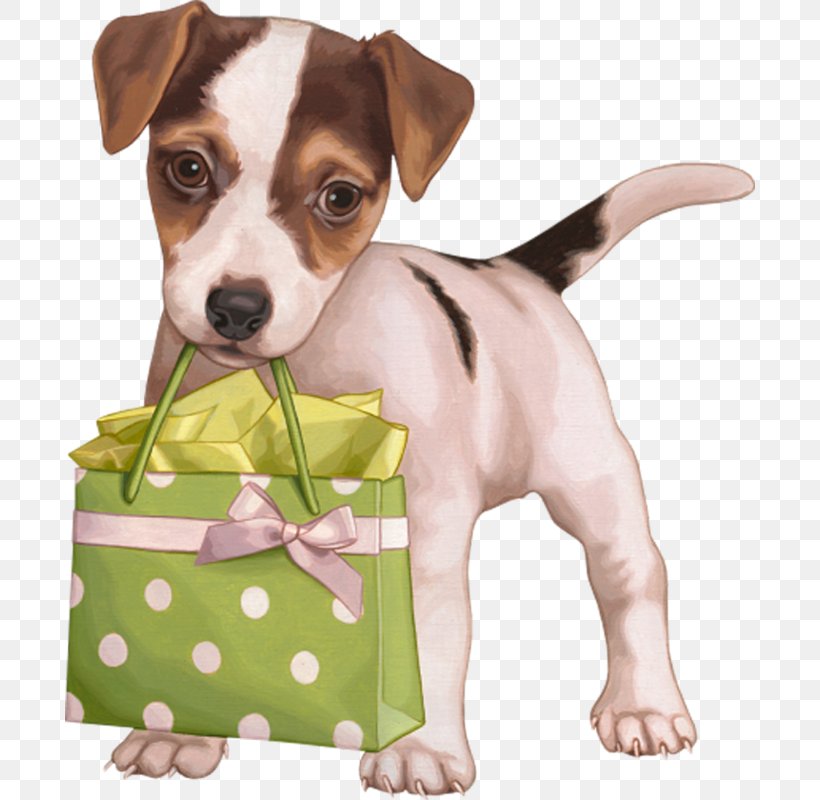 Puppy Dog Breed Jack Russell Terrier Clip Art, PNG, 690x800px, Puppy, Animal, Carnivoran, Cat, Companion Dog Download Free