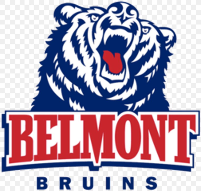 Belmont University Belmont Bruins Men's Basketball Curb Event Center Belmont Bruins Men's Soccer Belmont Bruins Baseball, PNG, 1024x975px, Belmont University, Area, Artwork, Basketball, Belmont Bruins Download Free