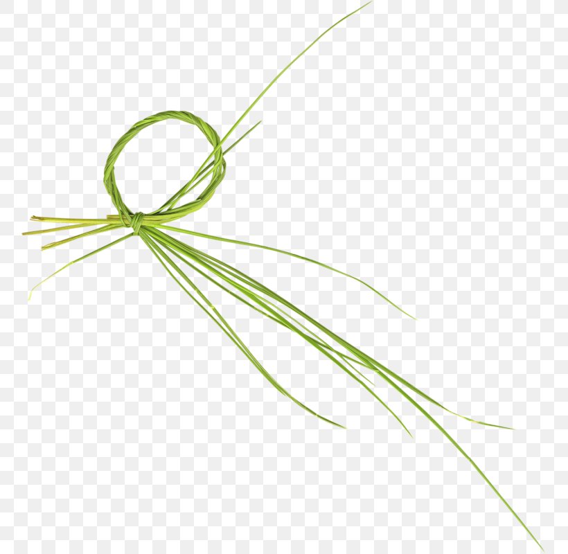 Green Drawing, PNG, 757x800px, Green, Animation, Digital Image, Drawing, Point Download Free