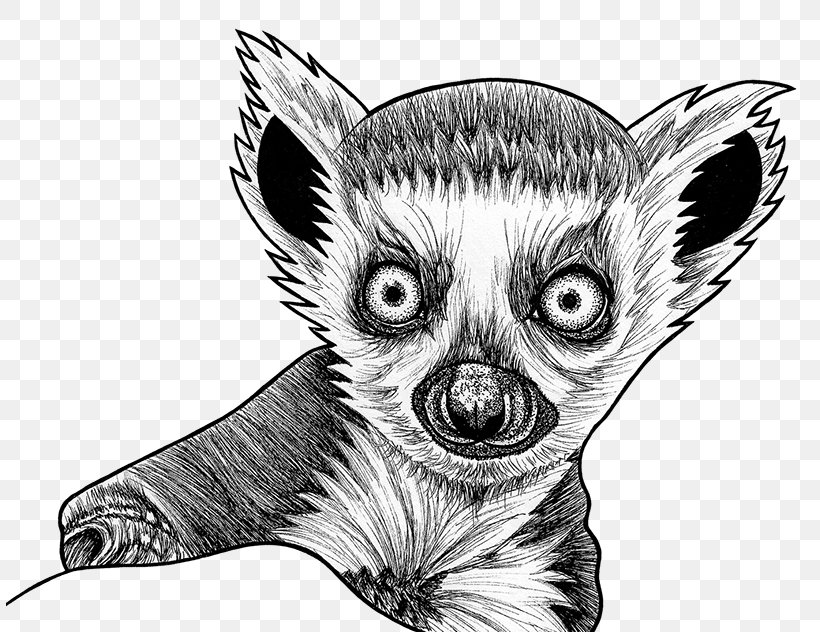 Lemur Aye-aye Drawing Fennec Fox Sketch, PNG, 808x632px, Lemur, Ayeaye, Drawing, Fennec Fox, Fictional Character Download Free