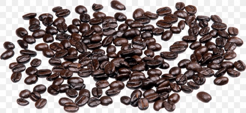 Coffee Bean Cafe Jamaican Blue Mountain Coffee, PNG, 850x390px, Coffee, Bean, Cafe, Cocoa Bean, Coffea Download Free