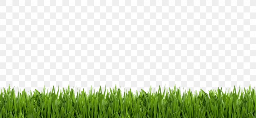 Lawn Image Golf Artificial Turf, PNG, 940x434px, Lawn, Animation, Artificial Turf, Field, Flooring Download Free
